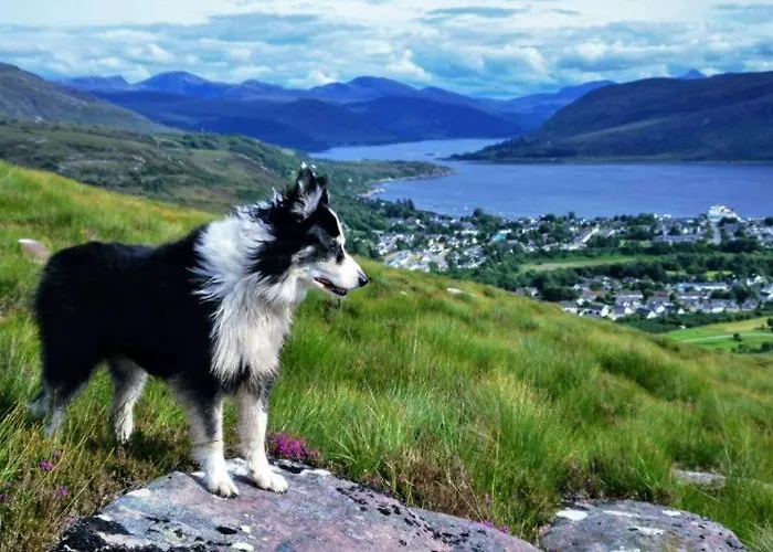 The Highland Bothies Glamping