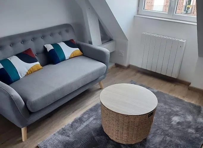 Bel appartement F2 hyper centre refait à neuf