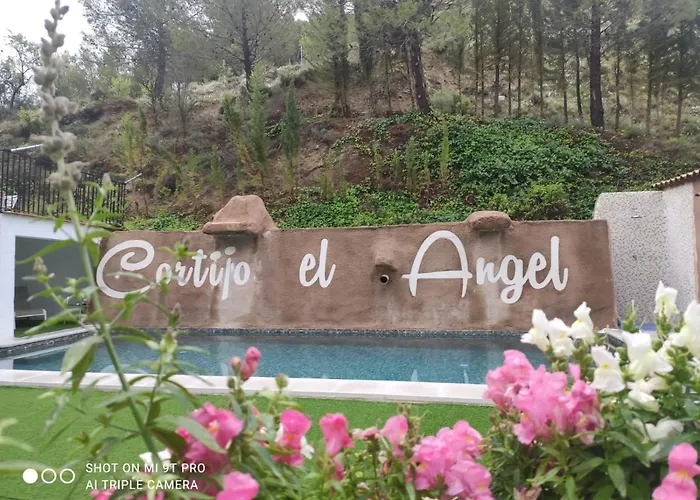 Perros hoteles Casa El Angel