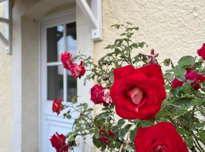 L'escale des roses