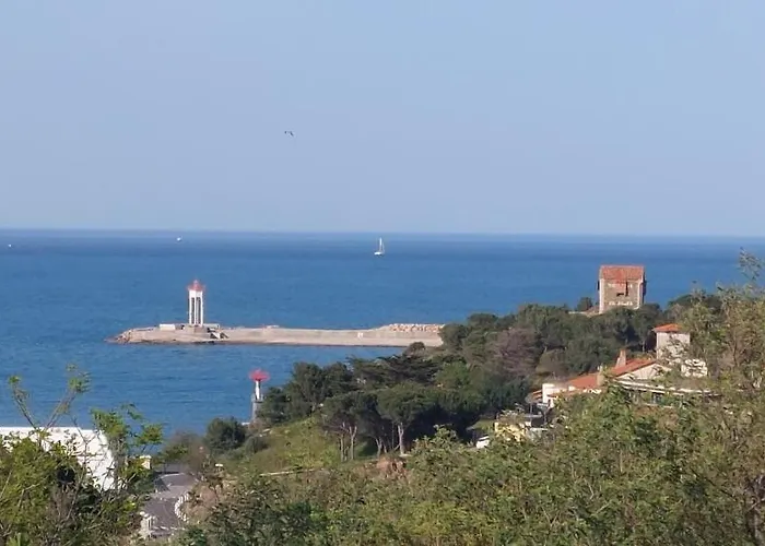 Port-Vendres, Appartement climatisé Vue Mer ! Le port à 3 minutes !