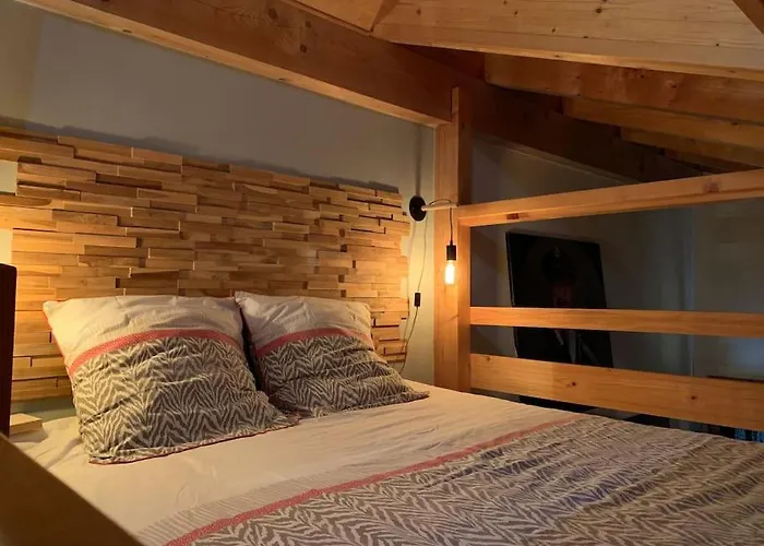 Chaleureux studio plein sud en Tarentaise !