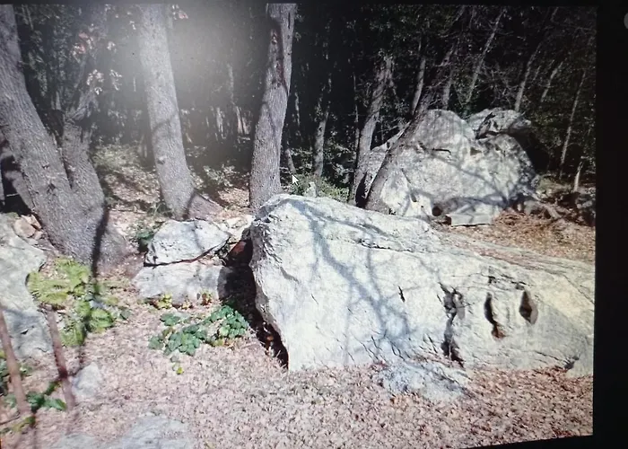LA MAISON DE PAPOU La Vigne A NANS LES PINS 83860
