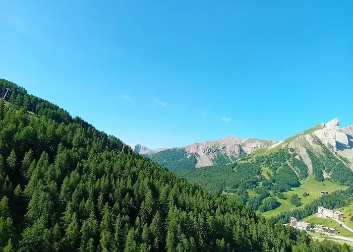 chamois tétras marmotte