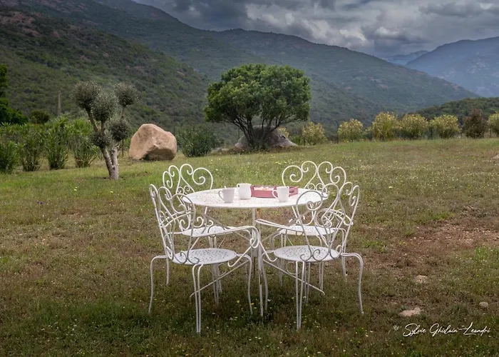 Grande villa de standing avec piscine à Sagone en Corse