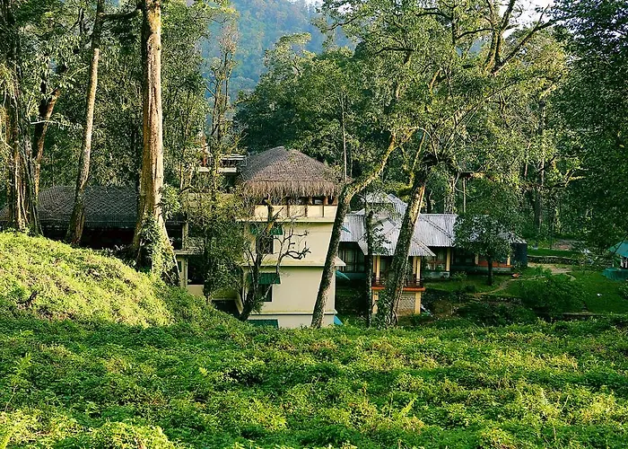 Deep Woods Resort