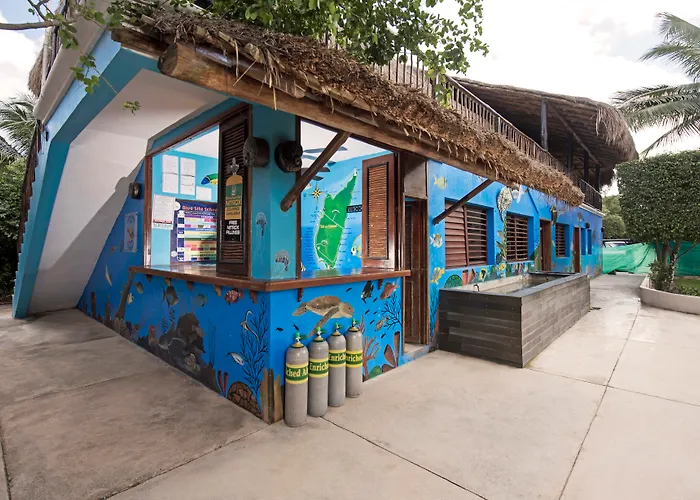 Resort todo incluido: Iberostar Waves Cozumel