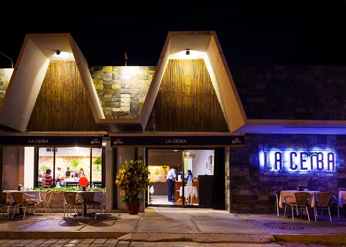 Perros hoteles Tukan Playa Del Carmen