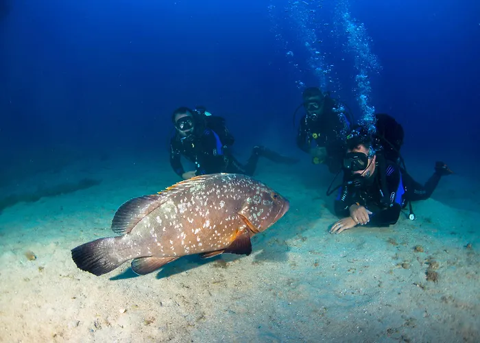 Vila Baleira Porto Santo