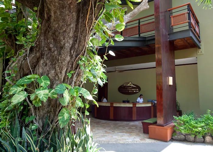 Central hotel: Hotel Bosque Del Mar Playa Hermosa