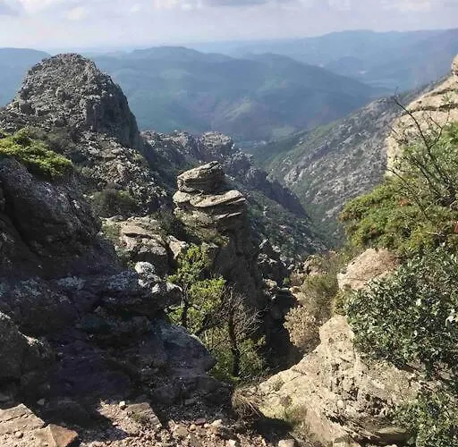 Superbe T2 dans un parc arboré