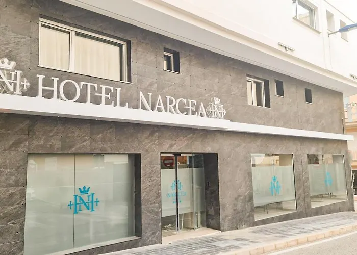 Hotel: Hotel Narcea