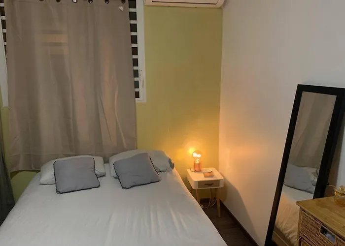 Appartement Renove Avec Bac A Punch Chauffe