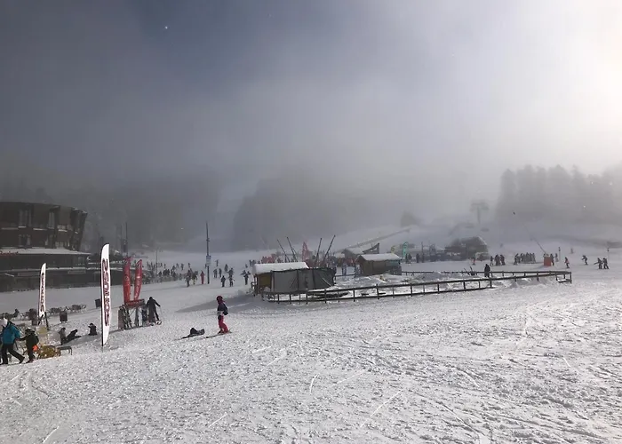 La Maisonette A 5 Km Du Super Lioran