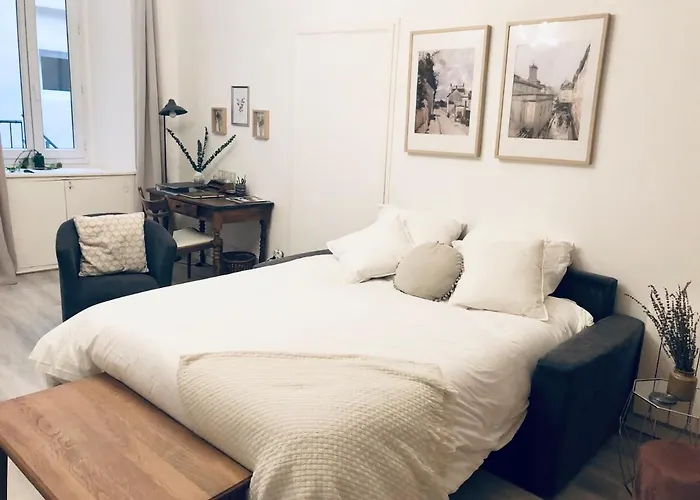 Elegant, Spacious Apartment In Historic Center Of Tournon