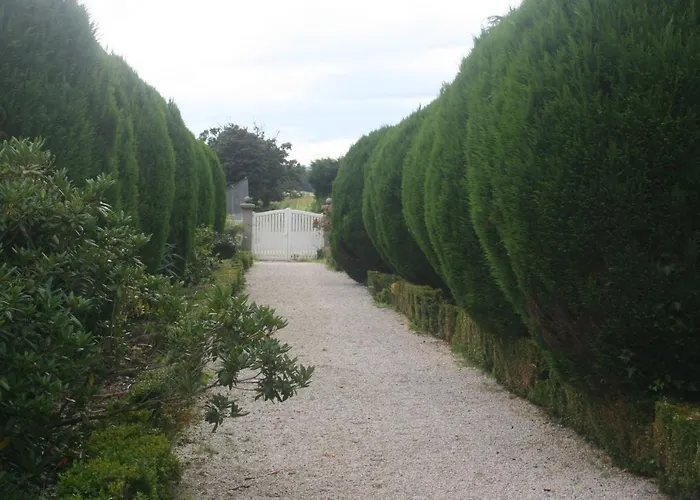 Les Sapins