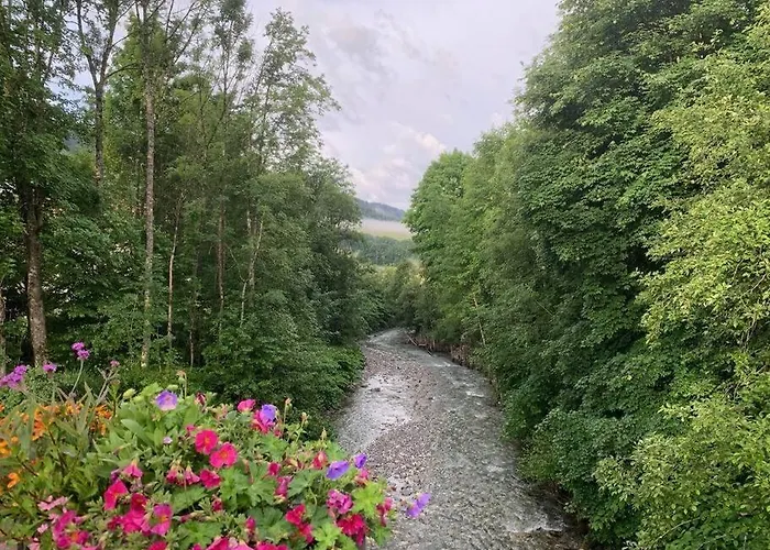 Charming Bright Spacious Village Walk To Lift Hike