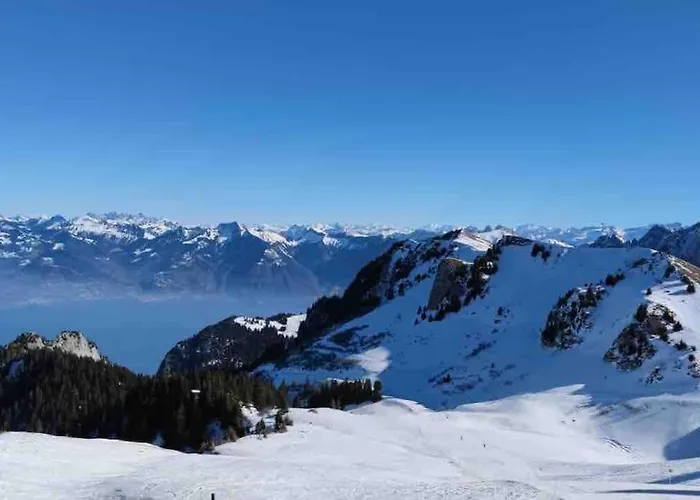 Studio Myrtilles du Léman vue sur lac et montagne
