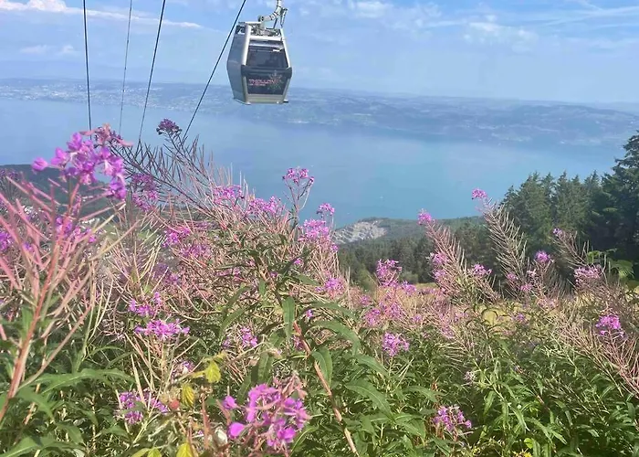 Studio Myrtilles du Léman vue sur lac et montagne
