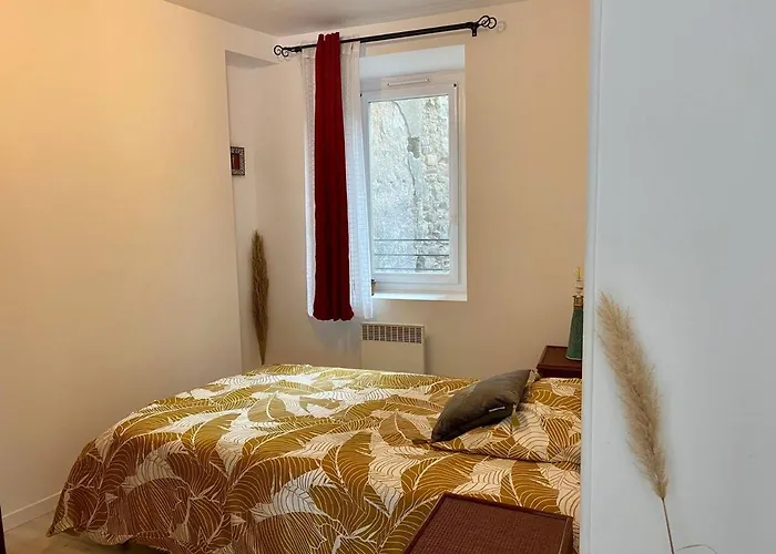 Accueillant petit T2 cœur de centre ville