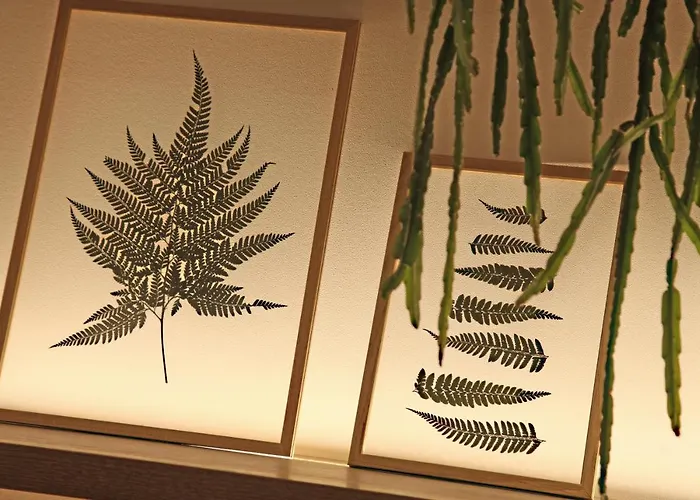 Casa de huéspedes: The Moods Catedral Hostal Boutique