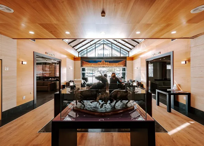 Zenit Aparthotel Hall 88