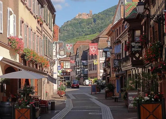 Gîte Ripcup au coeur de Ribeauvillé