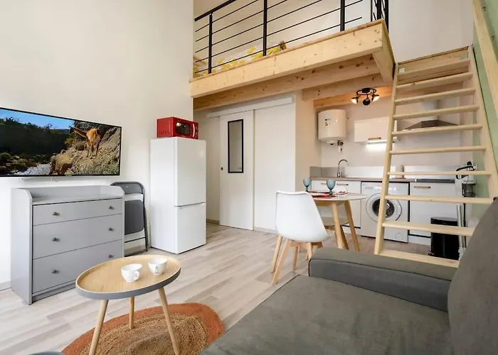 Studio mezzanine chaumiane proche de la gare