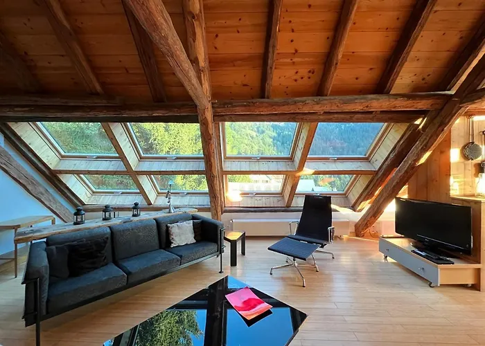 The Loft 3 Minutes From Alpe Dhuez Grand Domaine Via Oz En Oisans