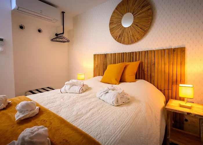 COZY F2 40m2 Appartement Climatisé Château