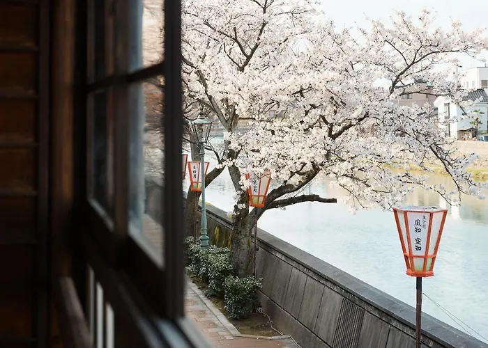 空知 -Koochi-