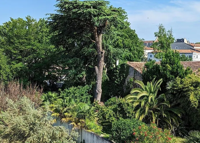 Loft lumineux avec cuisine équipée et circuits truffes - Centre-ville Jarnac - FR-1-653-248