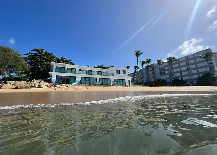 Dog friendly hotels 1 Corcega Beachfront Suites