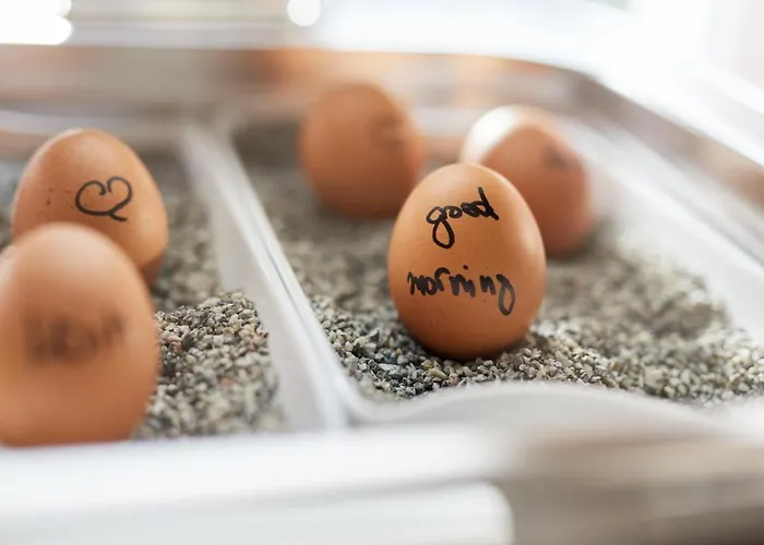 Hôtel accueillant les animaux: Hotel Central Hamburg