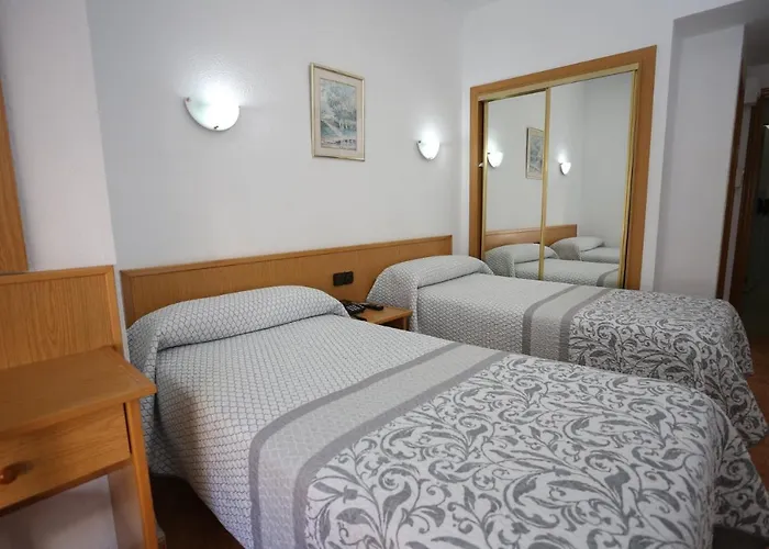 Hotel que admite mascotas: Hotel Cervantes