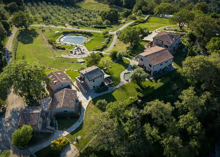 Sasseta Alta