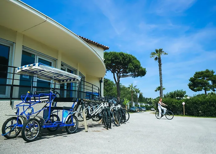 Hôtel accueillant les animaux: Camping Paradis Le Pearl