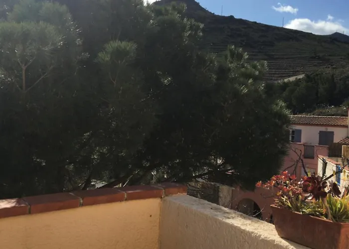 Aloès