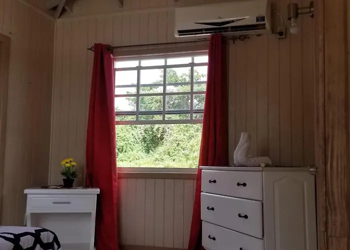 Cnp Apartments