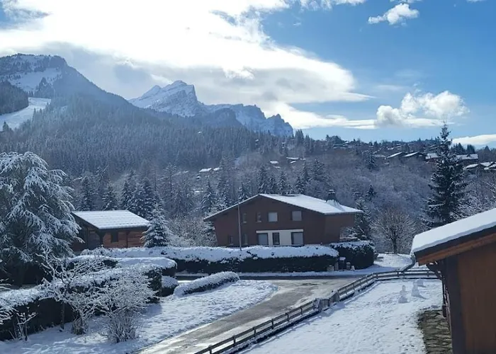 Chalet Des Neiges