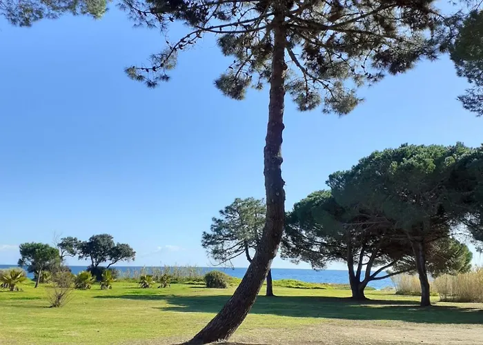 Bel Appartement Avec Piscine- Poggio Mezzana