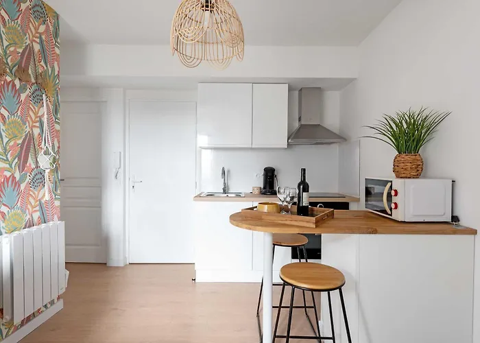 Le Tropical : T2 rénové Ambiance Cosy et Colorée