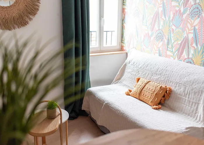 Le Tropical : T2 rénové Ambiance Cosy et Colorée