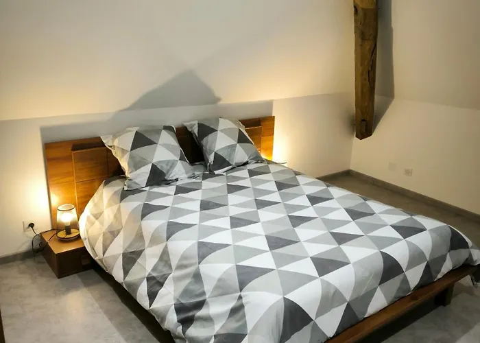 Appartement 6-8 personnes, gîte, climatisé, classé 3 étoiles, proche du zoo de Beauval et des châteaux de la Loire