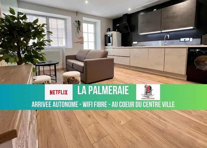 LA PALMERAIE -wifi fibre- centre ville -PROPERTY RENTAL NM