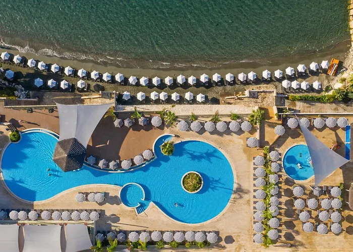Royal Apollonia By Louis s