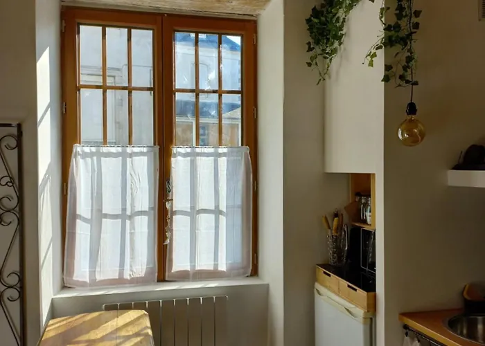 Le patio