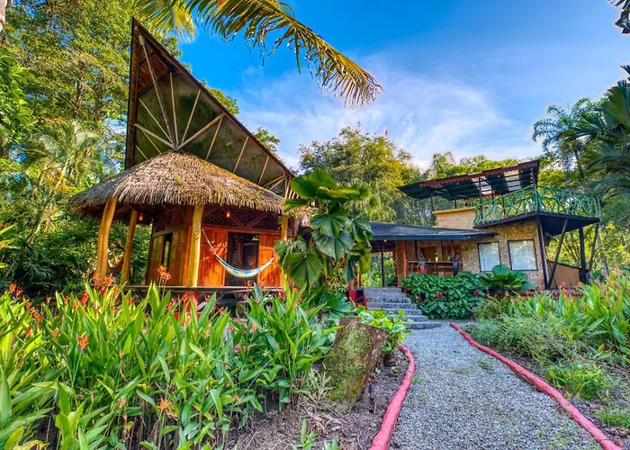 Tree House Beachfront