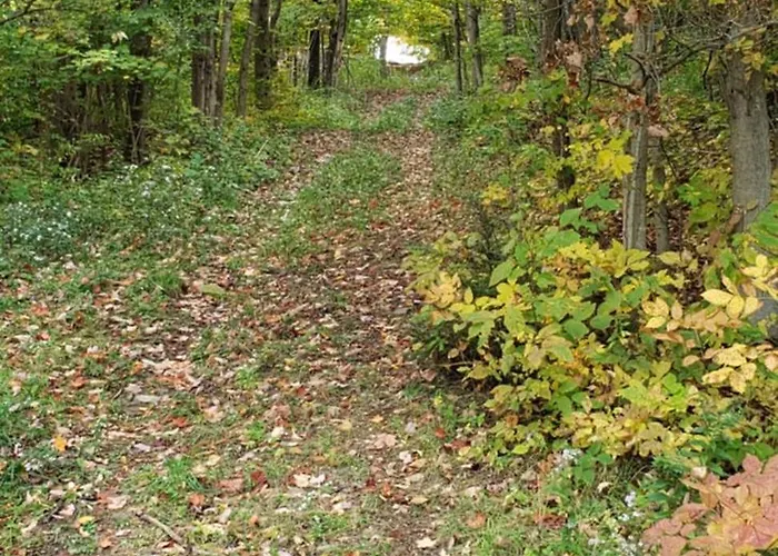 Country Farmhouse Lodge