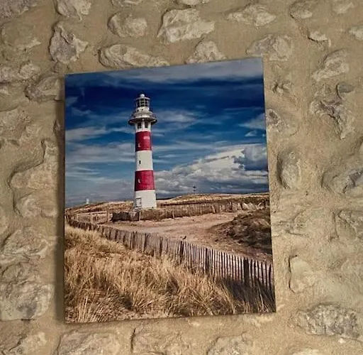 Location Mortagne -Sur Gironde